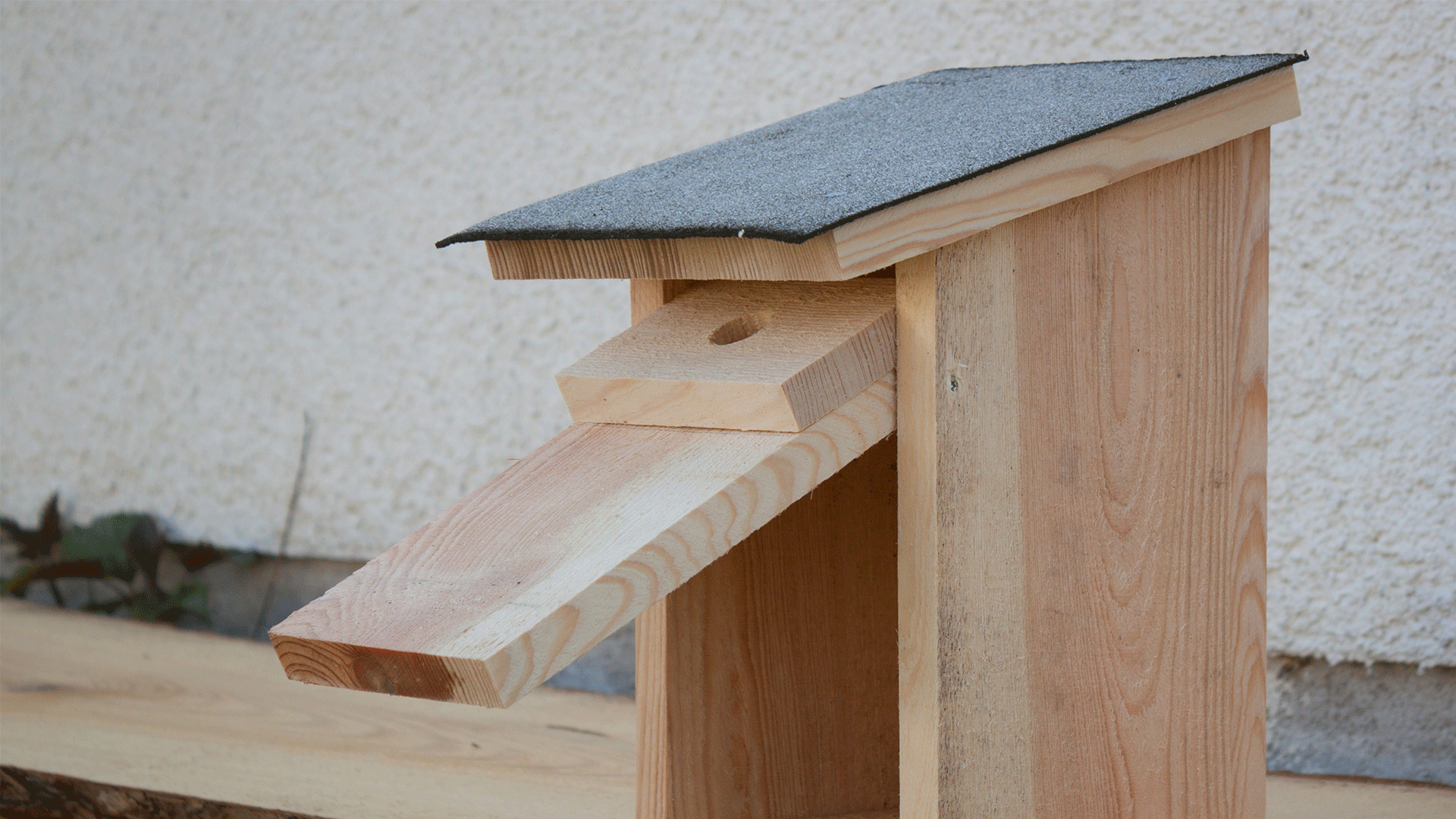holzsache, Zeiskam, Christian Humbert, Vogelhaus, Natur, Schutz